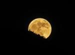 Discover Your Potential: The Science Behind Moon Readings